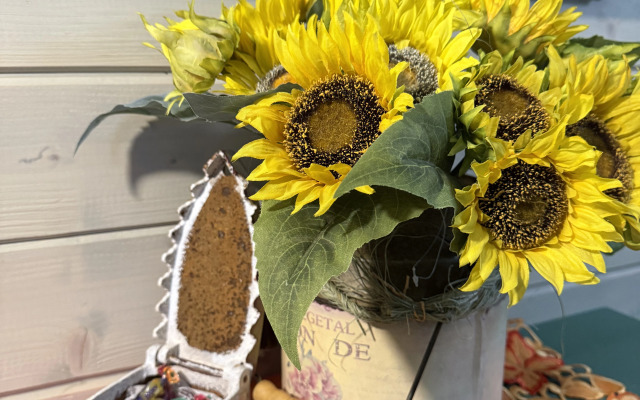 Гостевой дом Моя Провинция