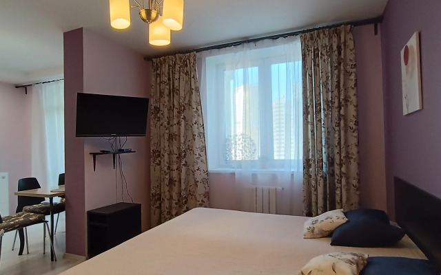 Апартаменты Библиотечная 45 #1