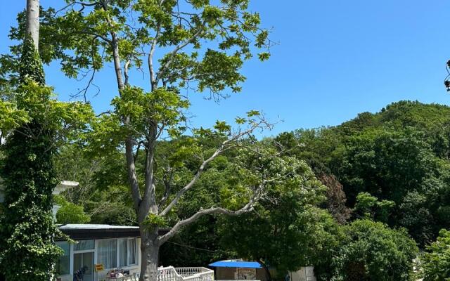 Palma Tuapse Guest house