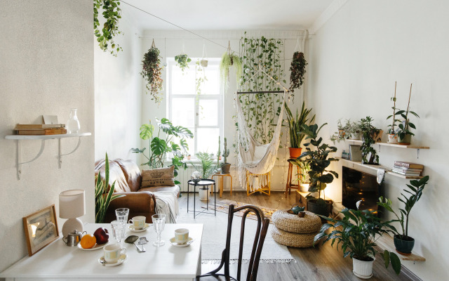 Urban jangle Flat