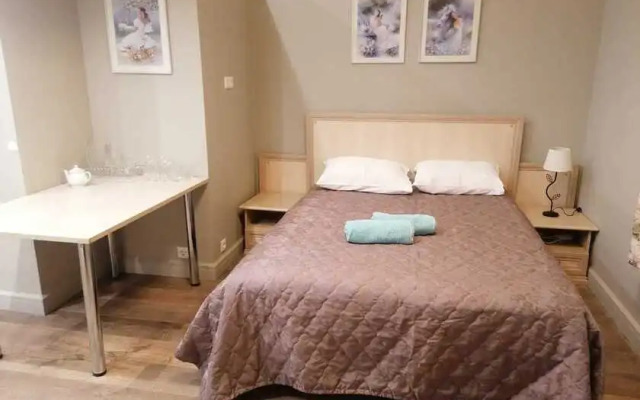 Апартаменты Шереметьевская