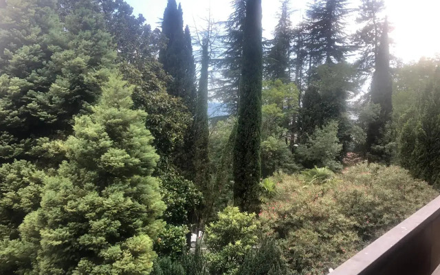 Gagra Hotel
