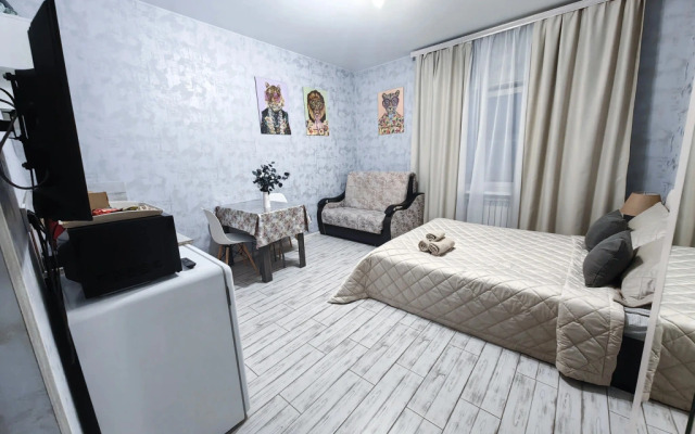 Апартаменты 3 на Самсоновской 117