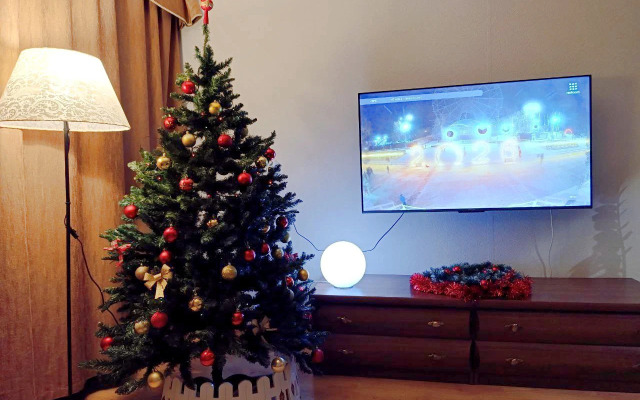 Квартира Большая для Семьи