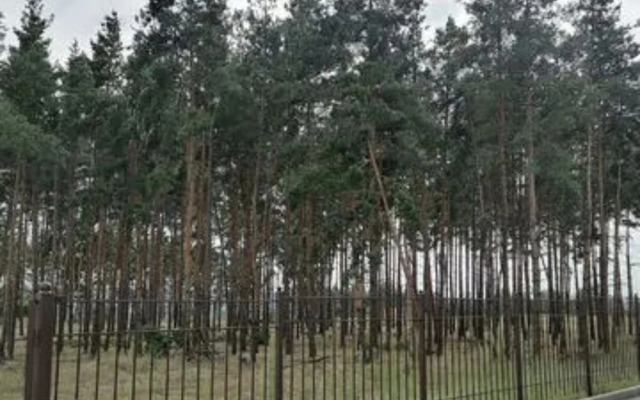 Квартира Уютно жить 4