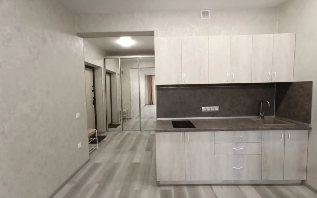 Квартира на Авиазаводе