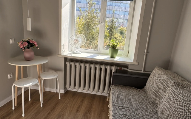 Mini V Tsentre Flat