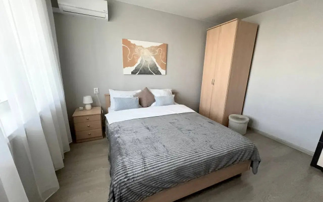 Na Vladimirskoy 37 Apartments