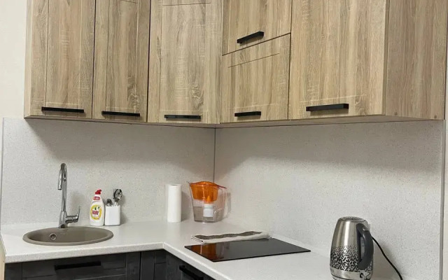 Odnokomnatnaya Na Lenina Flat
