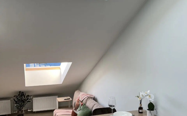 Апартаменты Душевная Студия - Мансарда в Центре Ломоносова