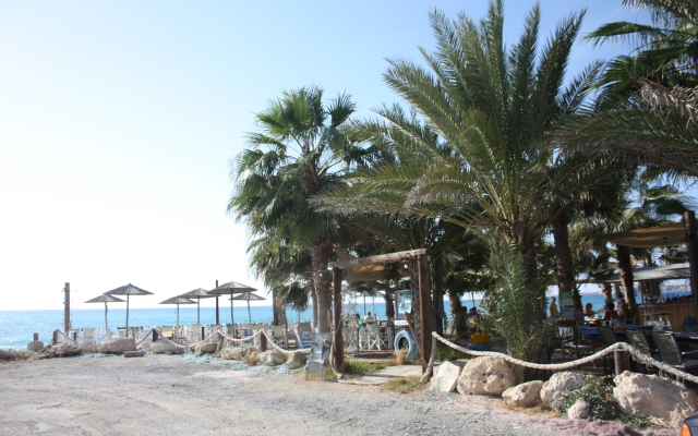 Green Oasis Beach Apartments