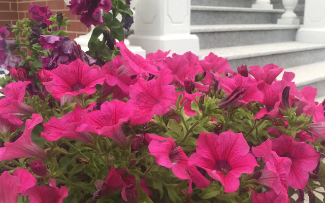 Гостевой дом Alina