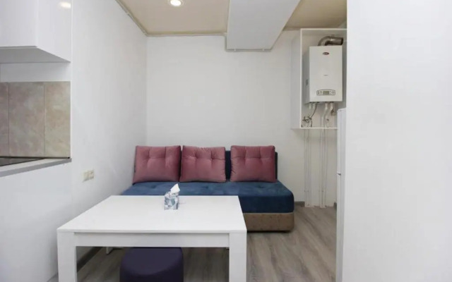 8 1v tsentre Erevana s Balkonom Apartment