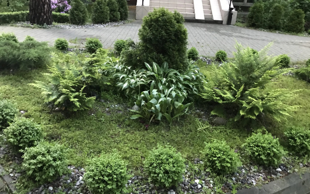 Квартира в центре