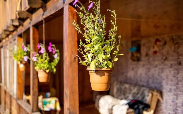Old Omalo Guest house