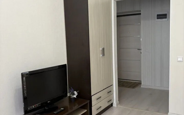 Квартира на Ливенской 33к1