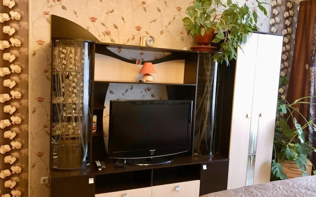 Na Ulitse Vladimirskaya 5v Flat