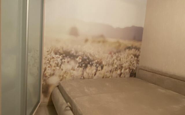 Апартаменты У Закхаймских ворот 87а