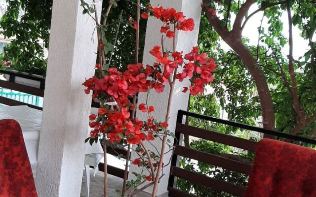 Elida Guest House