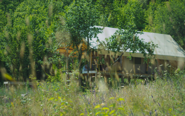 Solnechnosele Glamping
