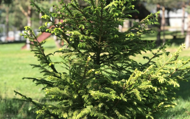 Отель Загородный Лежневская Лагуна