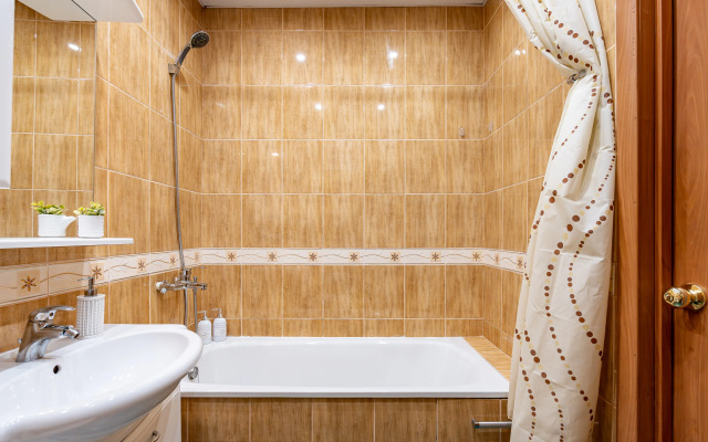 Sutkilive U Metro Akademicheskaya Apartments