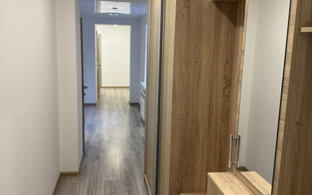 Квартира в тихом центре Воронежа