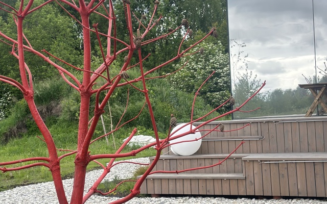 Частный дом Зеркальный ReflectionPoint