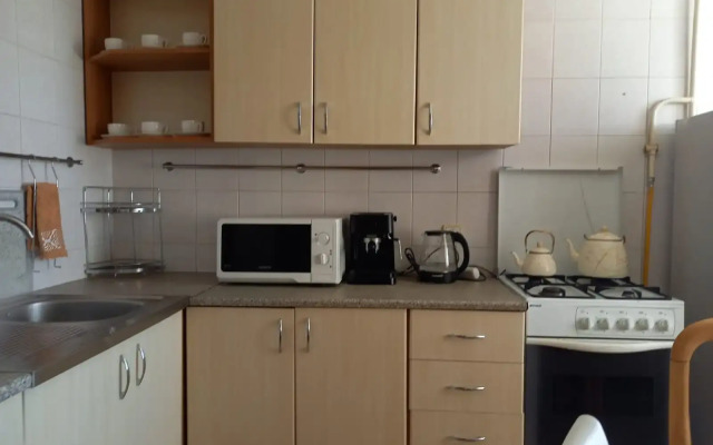 Tsentr Gostepriimstva Flat