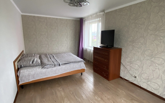 Na Ulitse Tushkanova 2 Flat