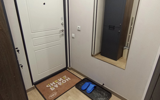 Uyutnaya Studiya V Tsente Ryadom S Vokzalom Apartments