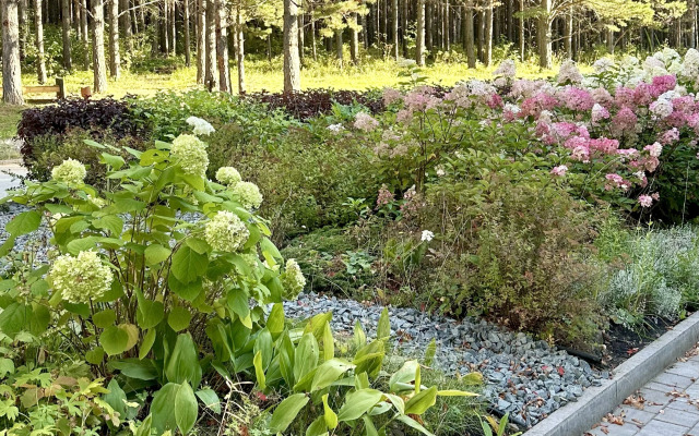 Гостиница Сосновый Бор