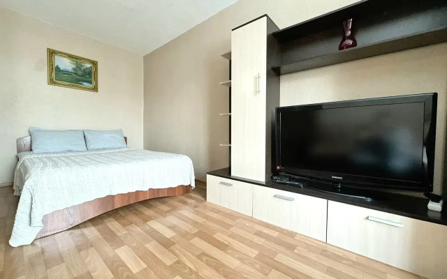 Квартира однокомнатная в центре на Дарвина