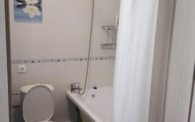 Uyutnoe Gnezdishko Apartments