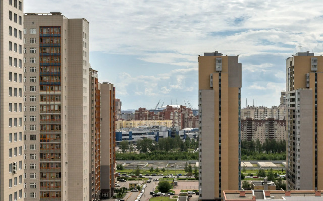 V Lyzhnom Pereulke Ryadom S Vasilyevskim Ostrovom Apartments