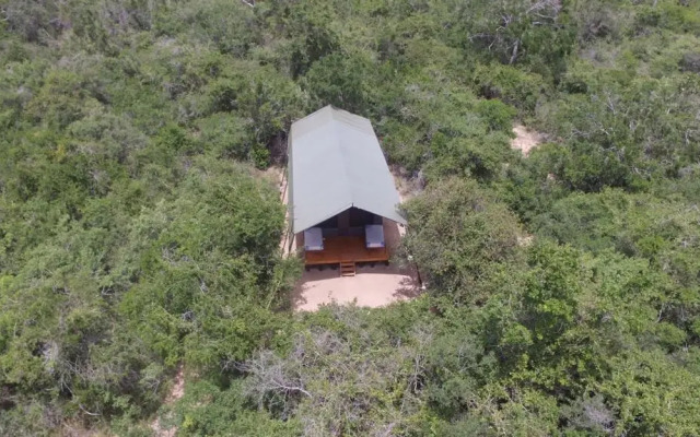 Topan Yala – Luxury Tented Safari