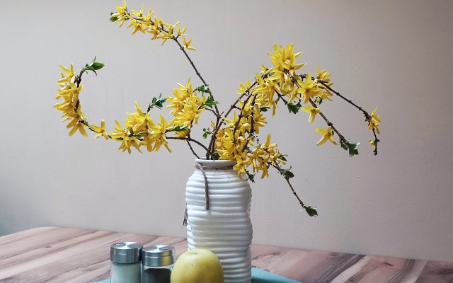 Апартаменты Briz Светлогорск