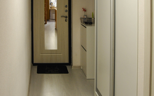 Апартаменты на набережной канала Грибоедова