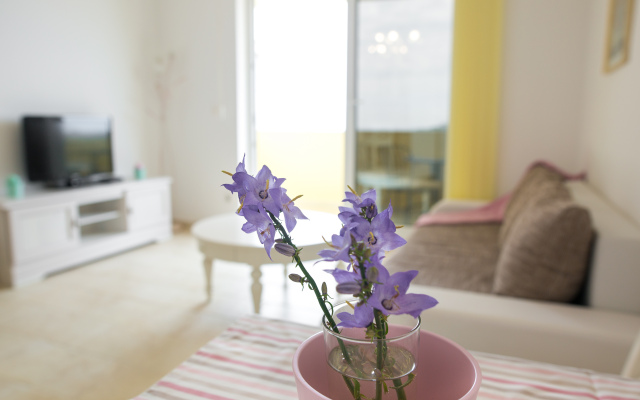 Zlatni Potok Apartments