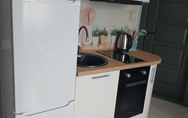 Квартира Студия правая на Зеленом бульваре