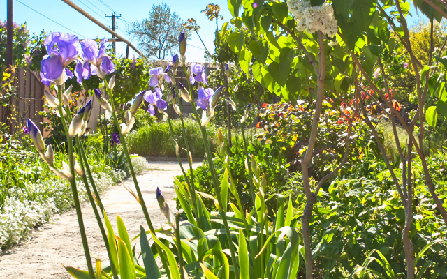 Lenivyij Delfin Guest house