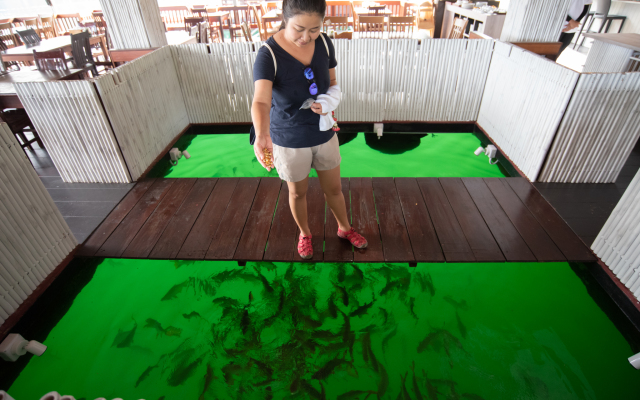 500Rai Floating Resort - Khao Sok National Park Hotel