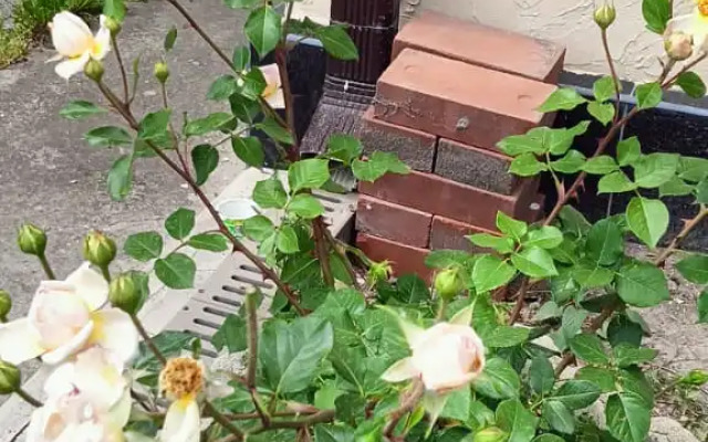 Гостевой Дом на Яснополянской