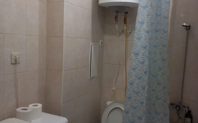 Studiya V Tsentre Flat