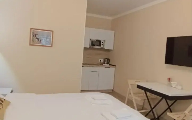Studiya V Tsentre Pyatigorska Flat