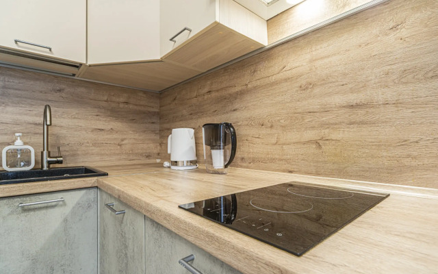 Vidovye Now Piter Apartments
