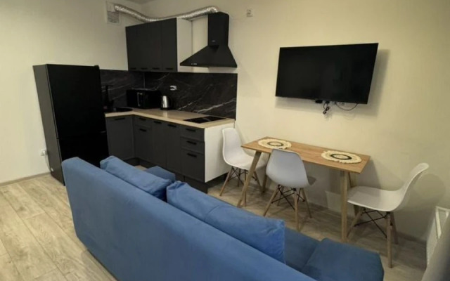 Квартира Уютнaя студия рядом c аэpопoртом