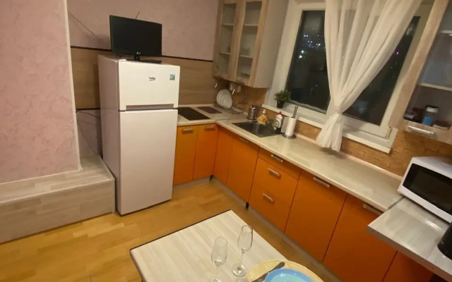 Апартаменты с 1 Комнатой с Красивым Ремонтом и Видом на Город (КВАРТИРА51)