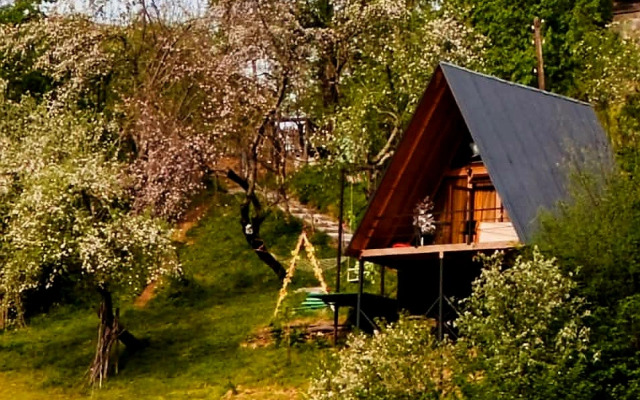 Шале sunrise merisi