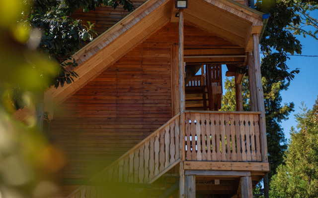 TreeHouse GoldenSeaView TreeHouse Private house